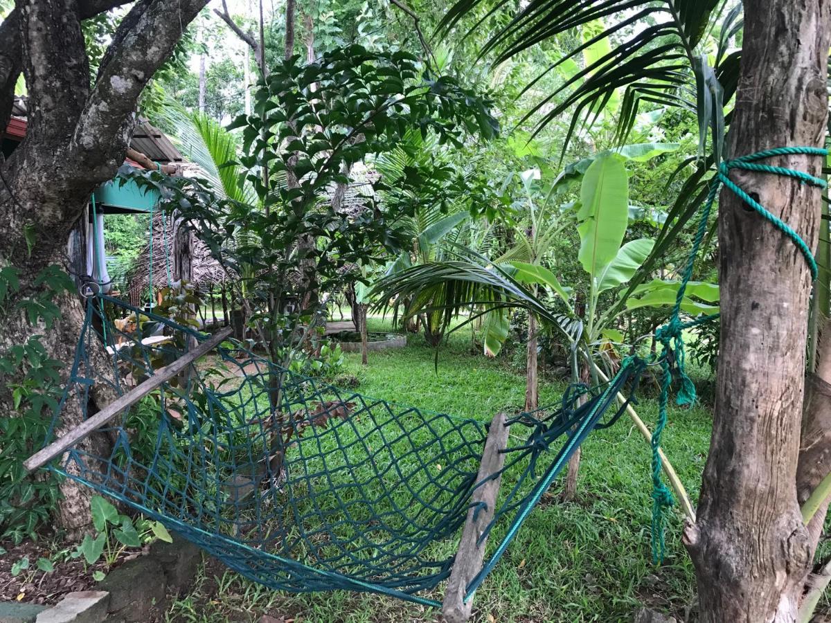 Sigiriya Village Home Stay エクステリア 写真