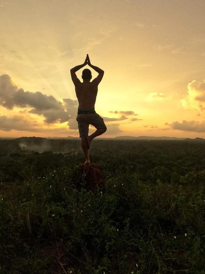 Sigiriya Village Home Stay エクステリア 写真