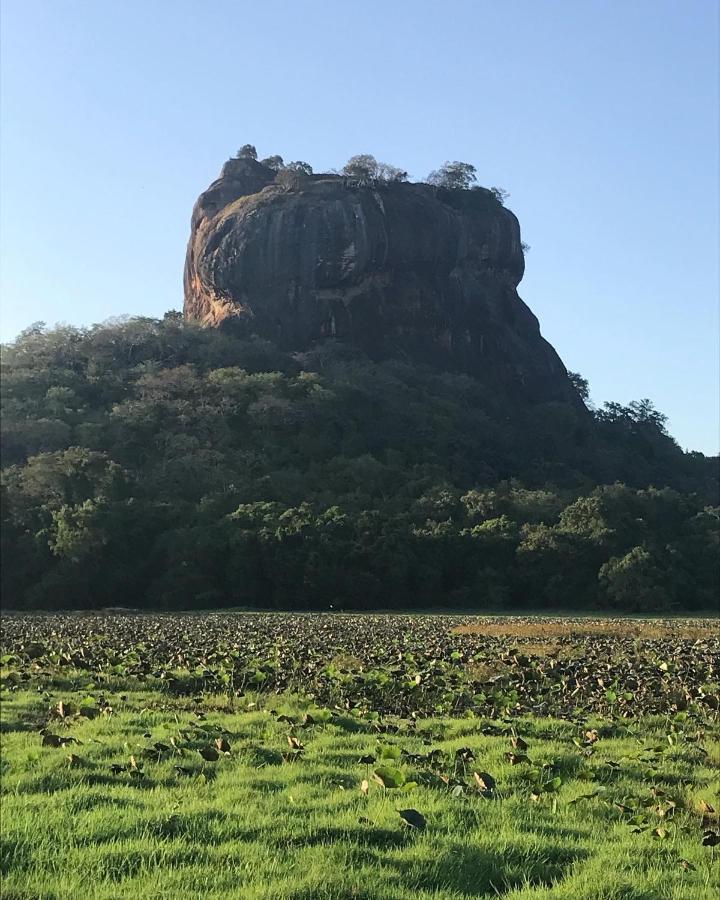 Sigiriya Village Home Stay エクステリア 写真
