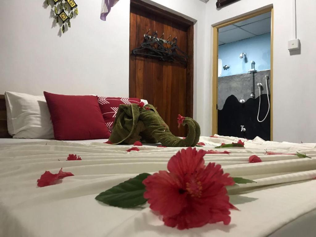 Sigiriya Village Home Stay エクステリア 写真